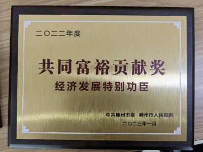 2022年度共同富裕貢獻(xiàn)獎(jiǎng)經(jīng)濟(jì)發(fā)展特別功臣