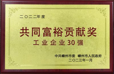 2022年度共同富裕貢獻(xiàn)獎(jiǎng)工業(yè)企業(yè)30強(qiáng)